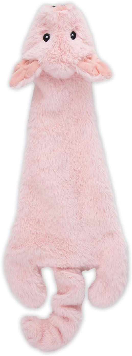 Squeaky Plush Dog Toys with Soft Durable Fabric, Interactive Indoor Play Toys for Small, Medium, and Large Dogs, 4-Piece Set (Small)