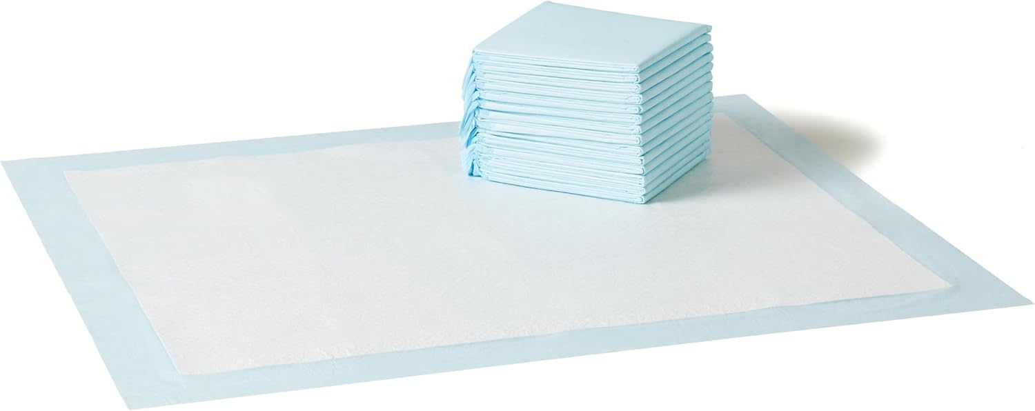 Disposable Dog and Puppy Pee Pads, 5-Layer Leak-Proof Absorbent Pads with Quick-Dry Surface, 22 x 22 Inch, 100 Count