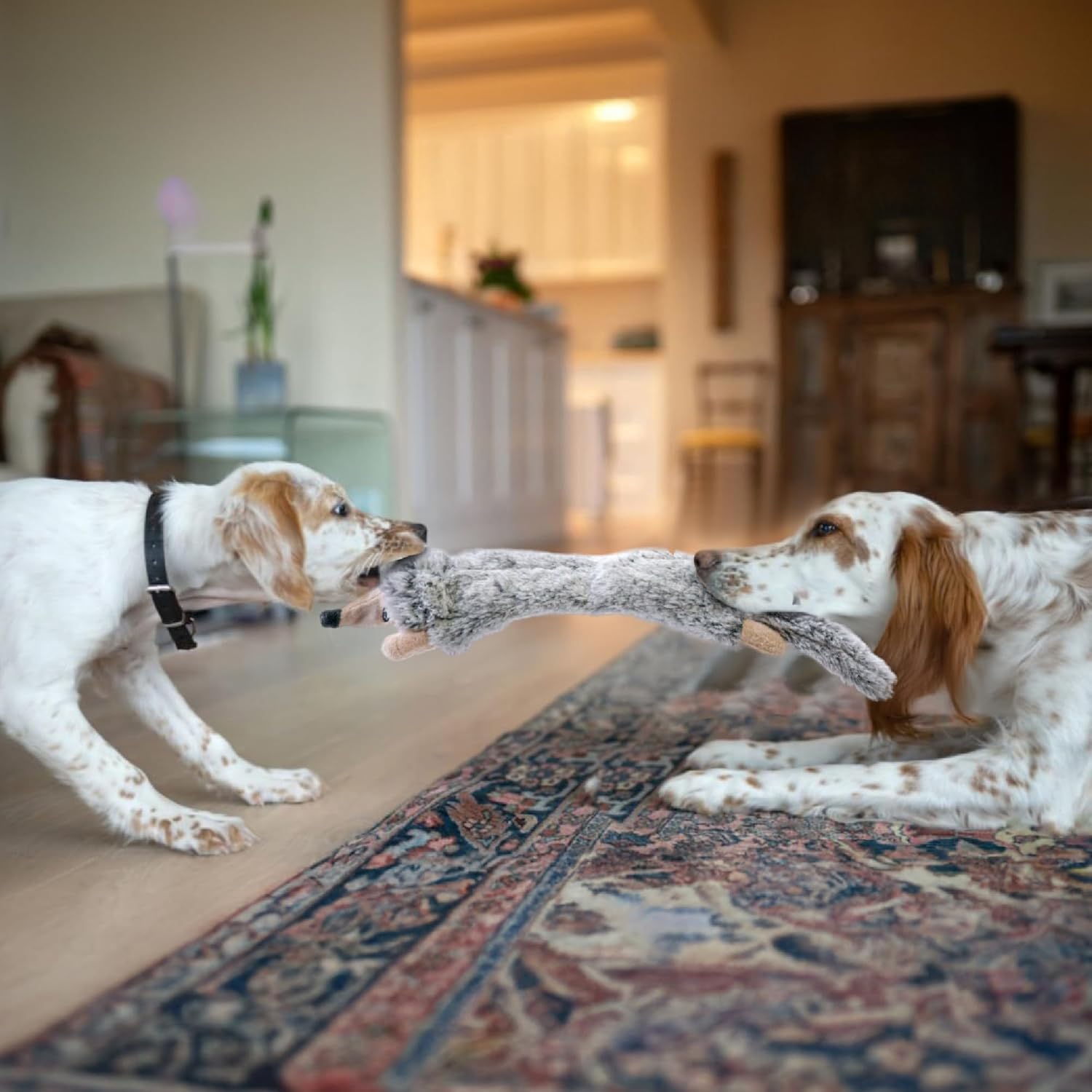 Dog Squeaky and Crinkle Plush Toys, 5 Pack No Stuffing Chew Toys for Small, Medium, and Large Dogs