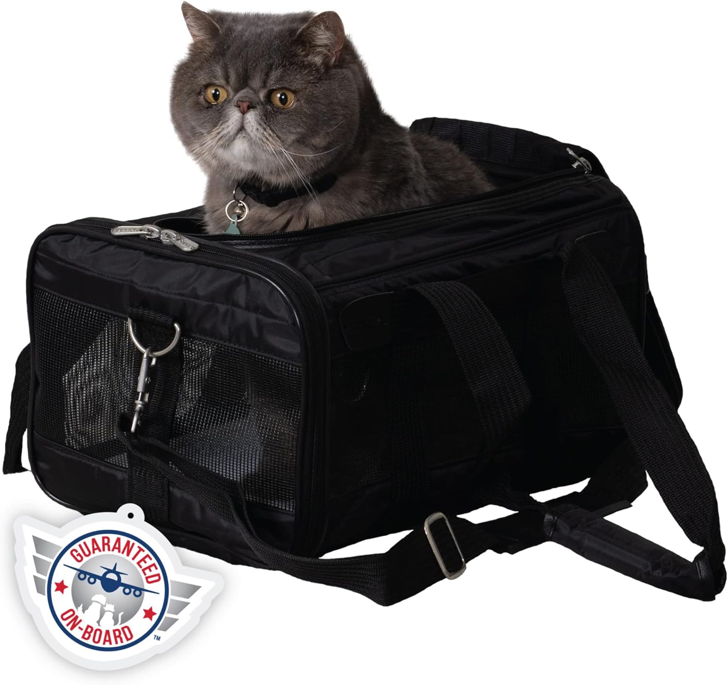 Airline Approved Soft-Sided Pet Travel Carrier, Deluxe Design, Large Size, Black
