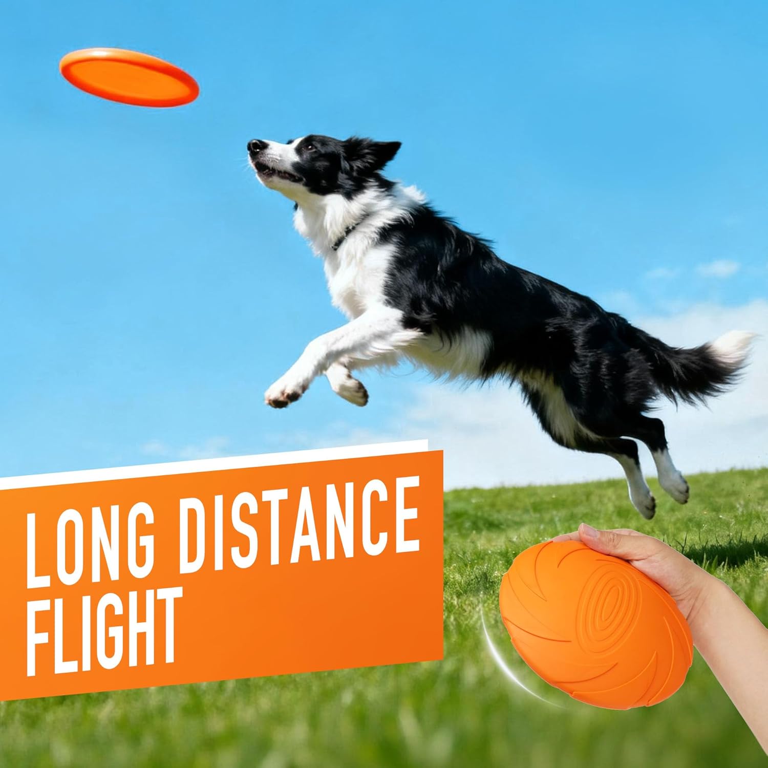 Dog Flying Disc Toy, 2 Pack, 7 Inch Durable Rubber Disc for Interactive Outdoor Play and Water Use
