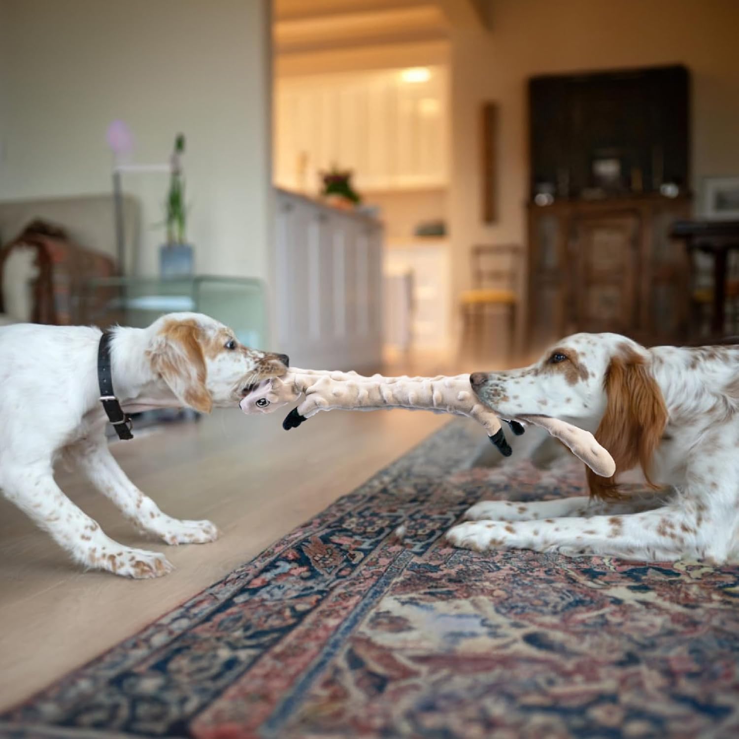 Dog Squeaky and Crinkle Plush Toys, 5 Pack No Stuffing Chew Toys for Small, Medium, and Large Dogs