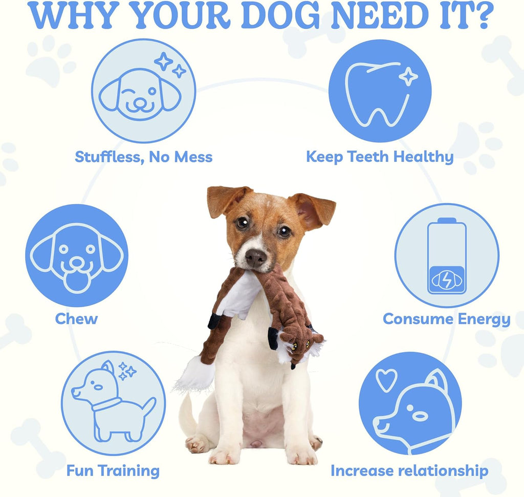 Dog Squeaky and Crinkle Plush Toys, 5 Pack No Stuffing Chew Toys for Small, Medium, and Large Dogs