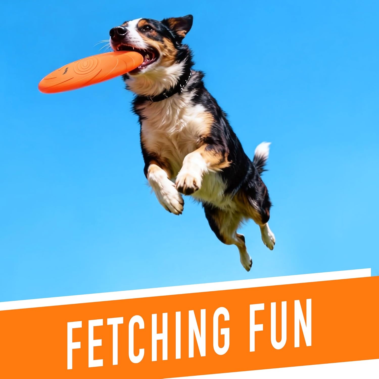 Dog Flying Disc Toy, 2 Pack, 7 Inch Durable Rubber Disc for Interactive Outdoor Play and Water Use