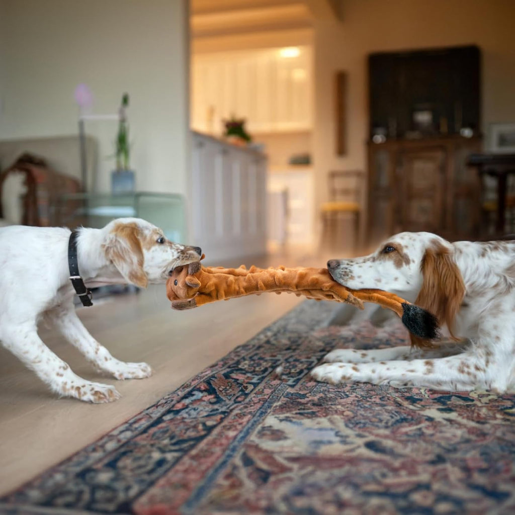 Dog Squeaky and Crinkle Plush Toys, 5 Pack No Stuffing Chew Toys for Small, Medium, and Large Dogs