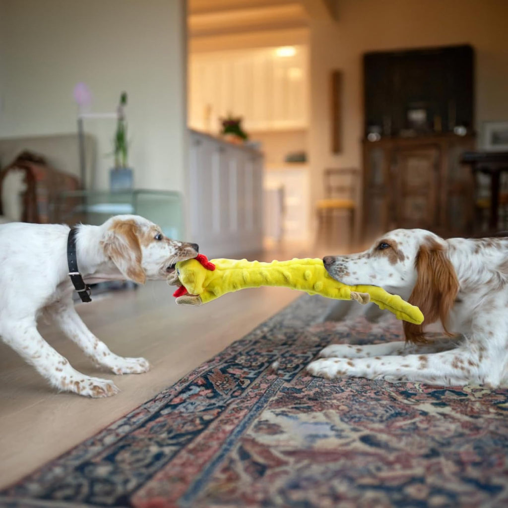 Dog Squeaky and Crinkle Plush Toys, 5 Pack No Stuffing Chew Toys for Small, Medium, and Large Dogs