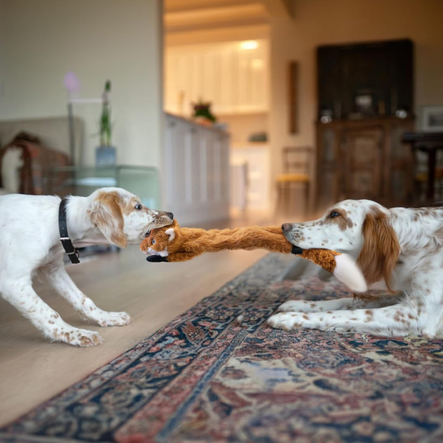 Dog Squeaky and Crinkle Plush Toys, 5 Pack No Stuffing Chew Toys for Small, Medium, and Large Dogs