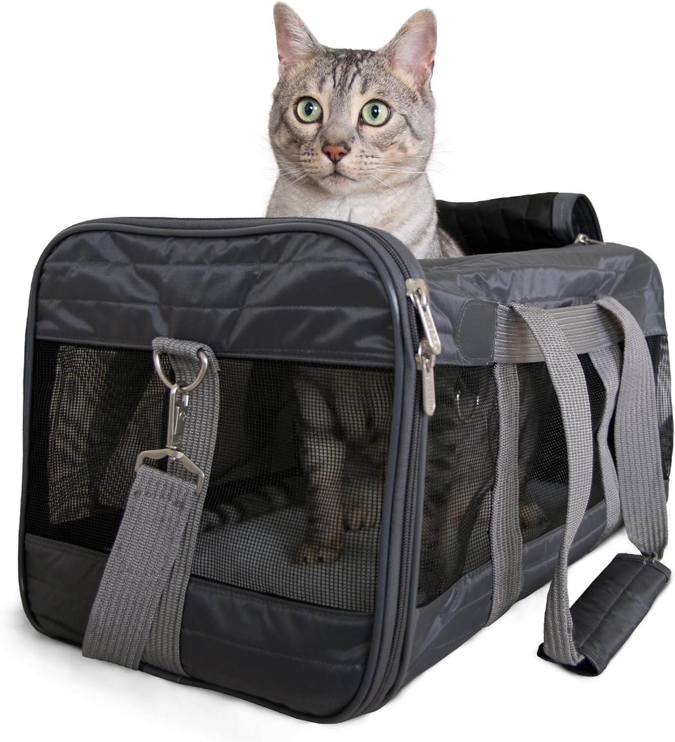 Airline Approved Soft-Sided Pet Travel Carrier, Deluxe Design, Medium Size, Charcoal Gray