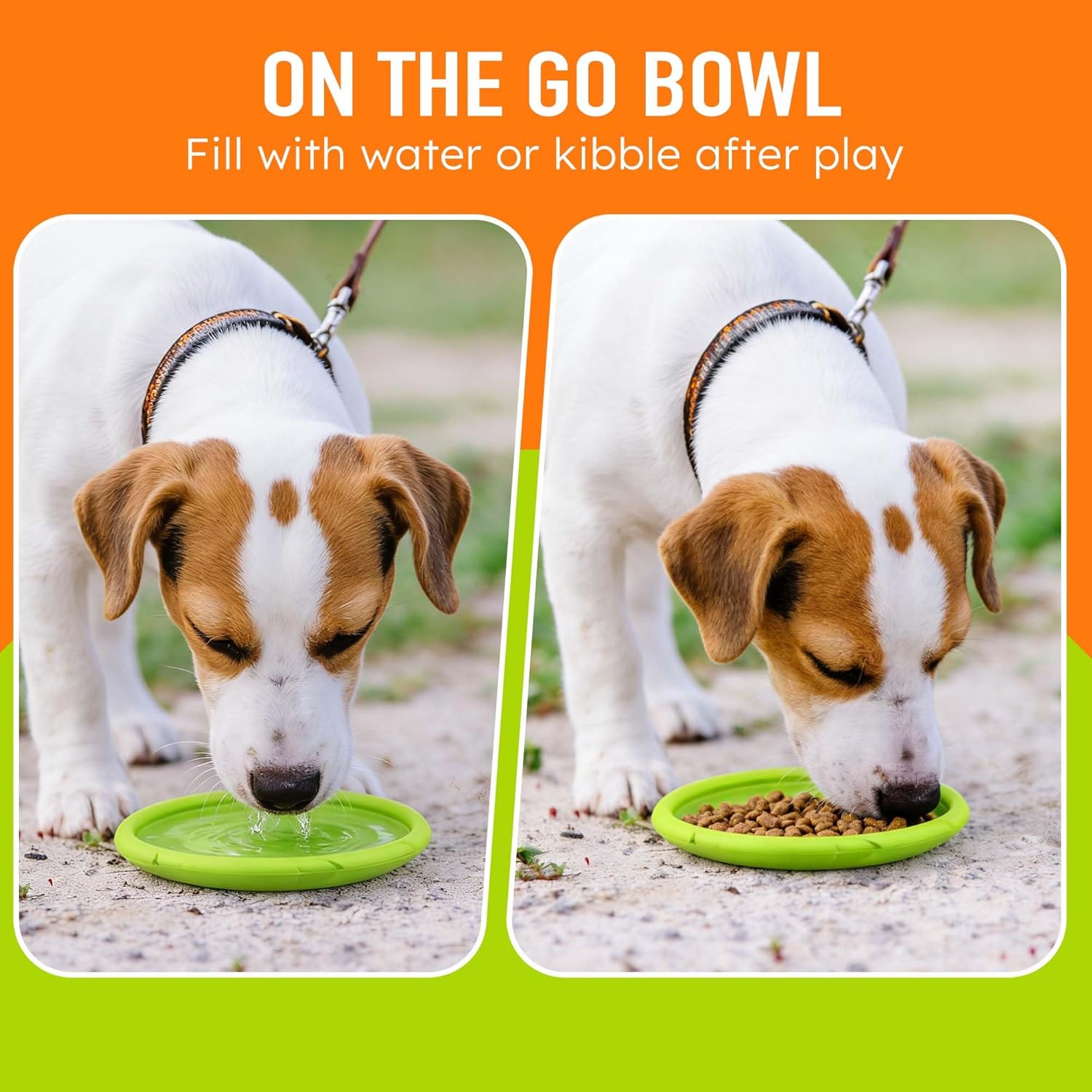 Dog Flying Disc Toy, 2 Pack, 7 Inch Durable Rubber Disc for Interactive Outdoor Play and Water Use