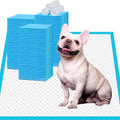 Disposable Puppy Training Pads 22 x 23 Inches, Leak-Proof Absorbent Pet Potty Pads for Dogs Cats and Small Pets, 100 Count