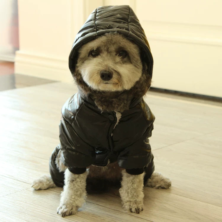 Pomdsds | Thickened Four-Leg Cotton Pet Outfit, Everyday Autumn & Winter Wear for Small Dogs