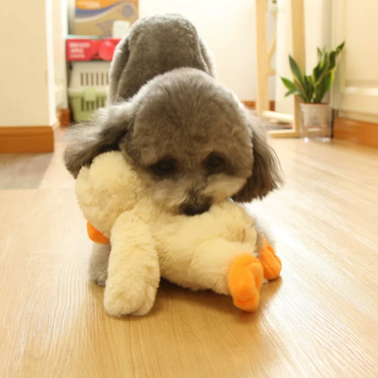 Pomdsds | Cushion-Style Plush Dog Toy with Gentle Sound, Everyday Interactive Play for Small to Medium Dogs