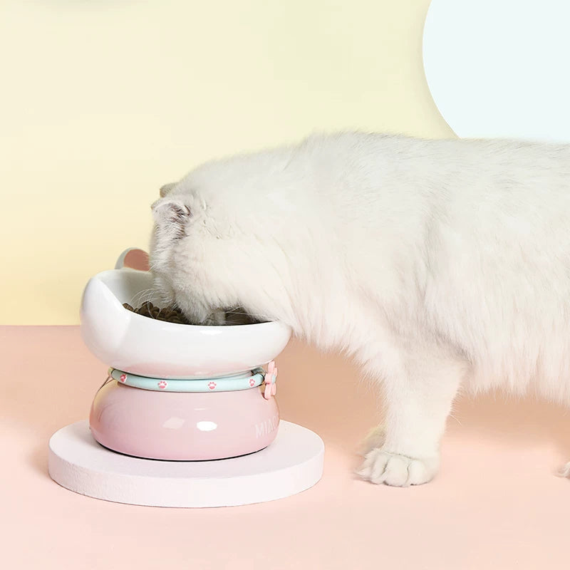 Pomdsds | Decorative Ceramic Pet Feeding Bowl with Raised Base for Daily Use