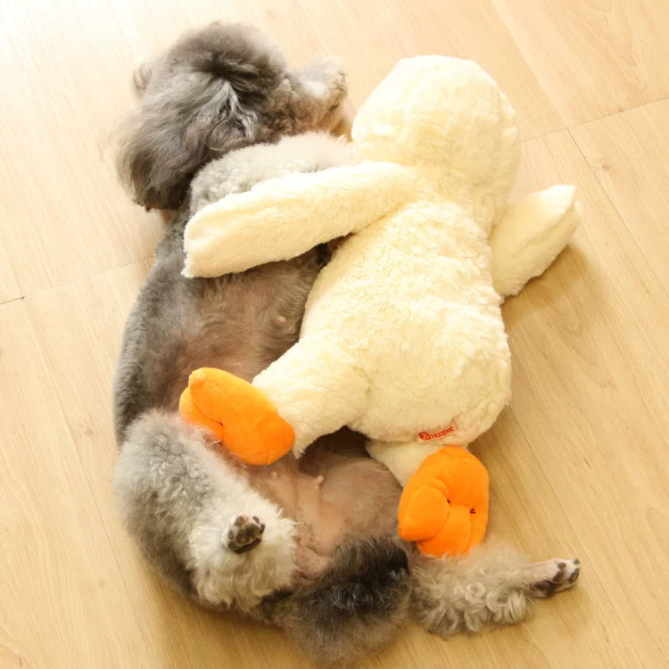 Pomdsds | Cushion-Style Plush Dog Toy with Gentle Sound, Everyday Interactive Play for Small to Medium Dogs