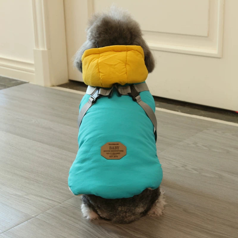 Pomdsds | Rainbow Cotton Pet Coat with Harness Style, Everyday Autumn & Winter Wear for Small Dogs