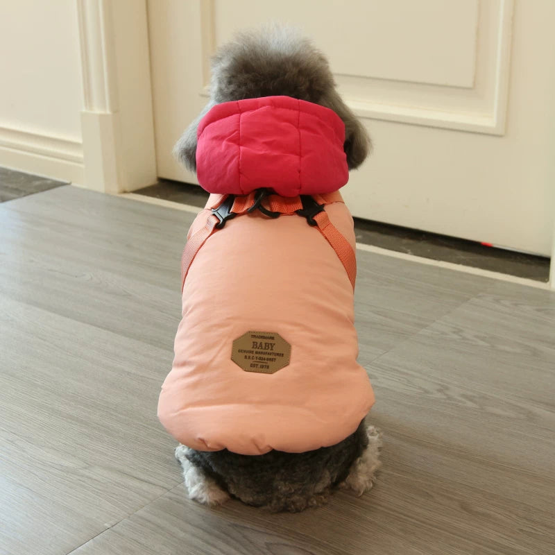 Pomdsds | Rainbow Cotton Pet Coat with Harness Style, Everyday Autumn & Winter Wear for Small Dogs