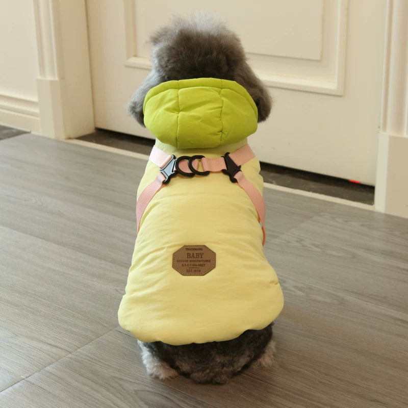 Pomdsds | Rainbow Cotton Pet Coat with Harness Style, Everyday Autumn & Winter Wear for Small Dogs