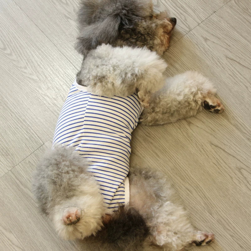 Pomdsds | Lightweight Cotton Pet Recovery Outfit with Full Belly Coverage, Four-Legged Design for Dogs and Cats