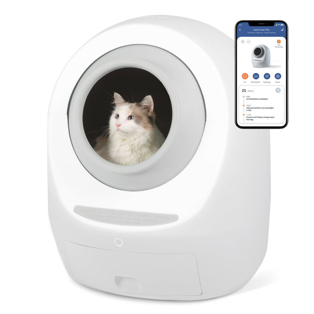 Automatic Self-Cleaning Cat Litter Box – No Mess, No Stress