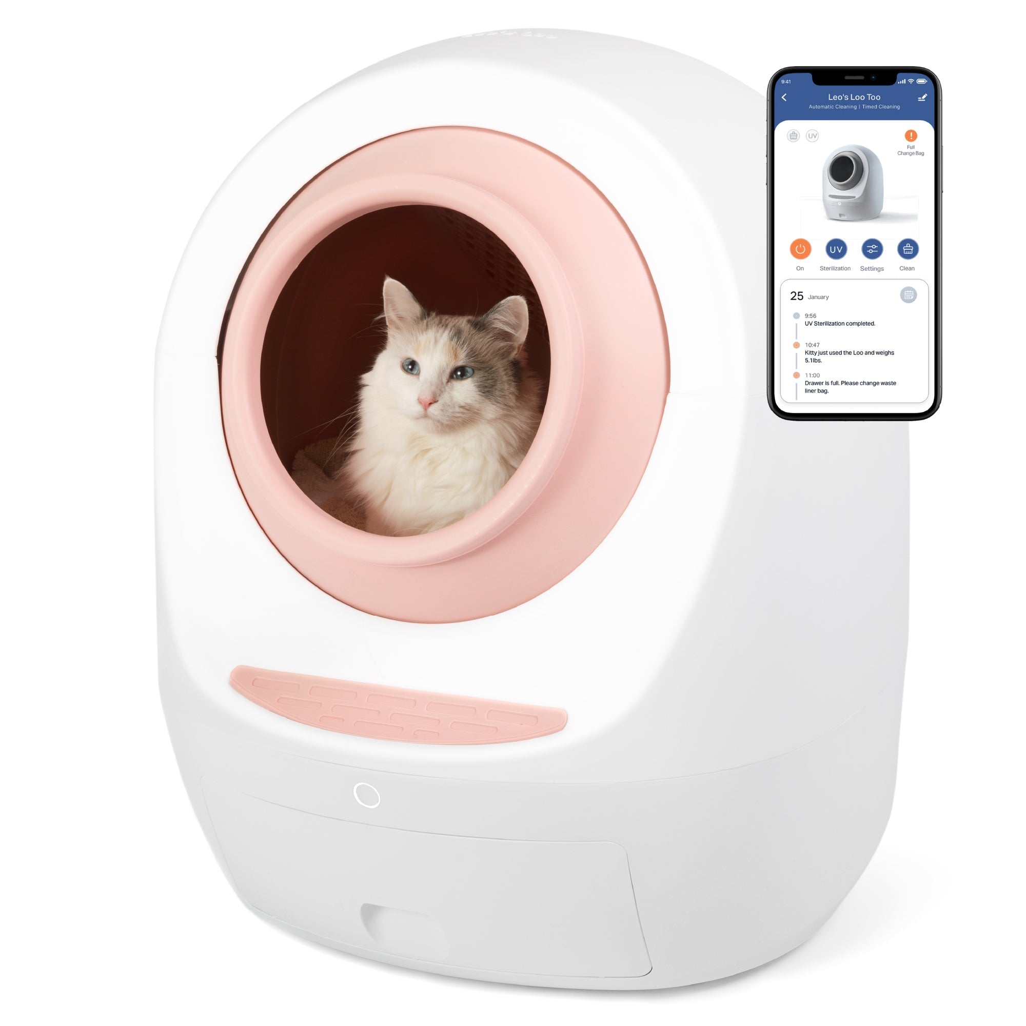 Automatic Self-Cleaning Cat Litter Box – No Mess, No Stress