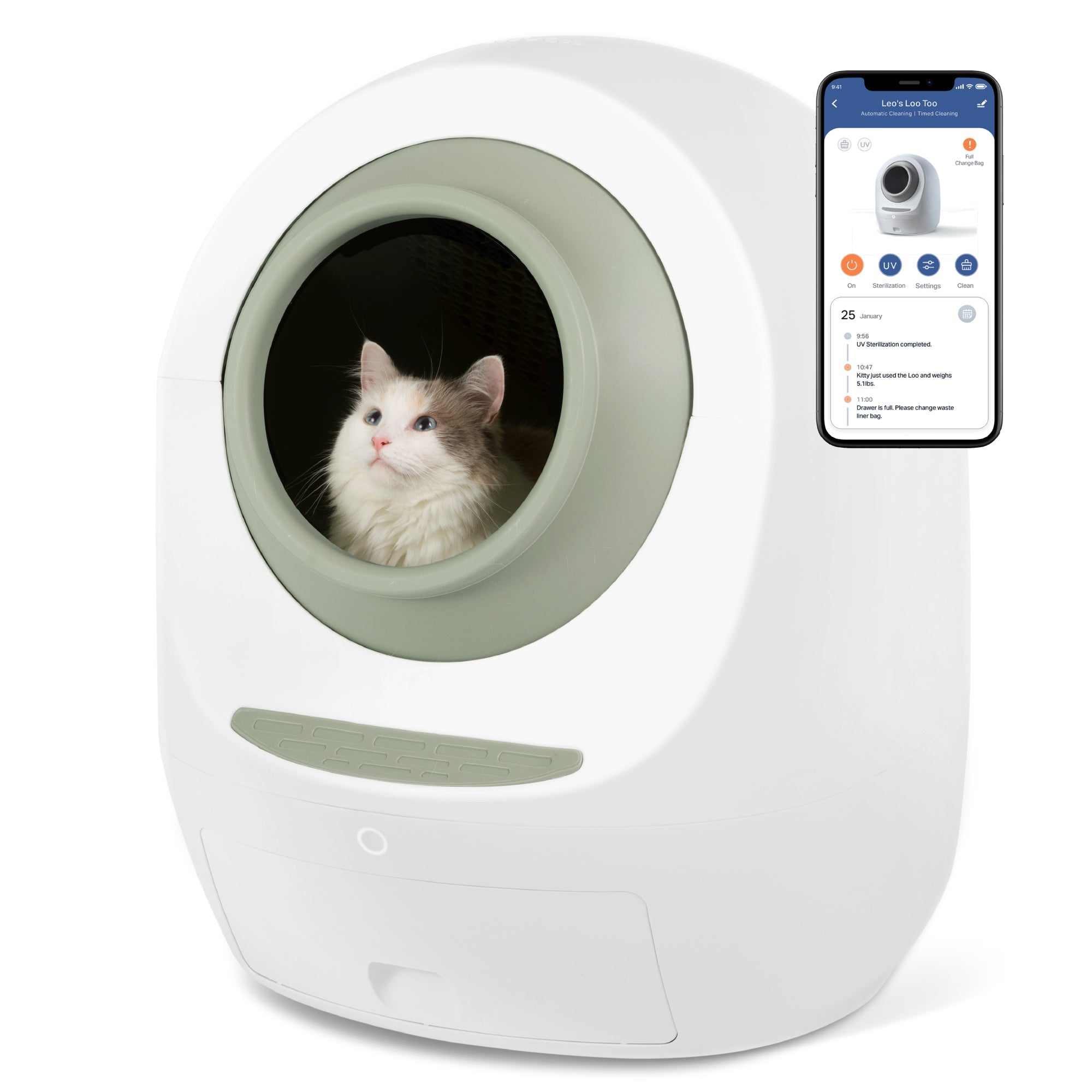 Automatic Self-Cleaning Cat Litter Box – No Mess, No Stress