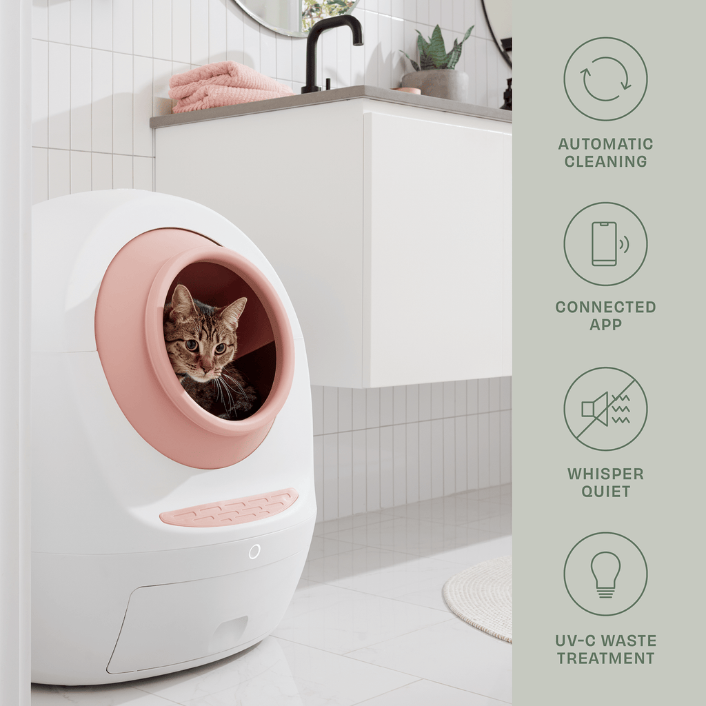 Automatic Self-Cleaning Cat Litter Box – No Mess, No Stress